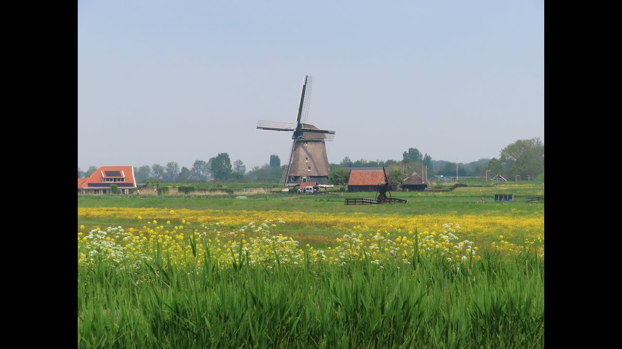 Neck gem. Wormerland (01):  De Neckermolen / Amsterdam surroundings