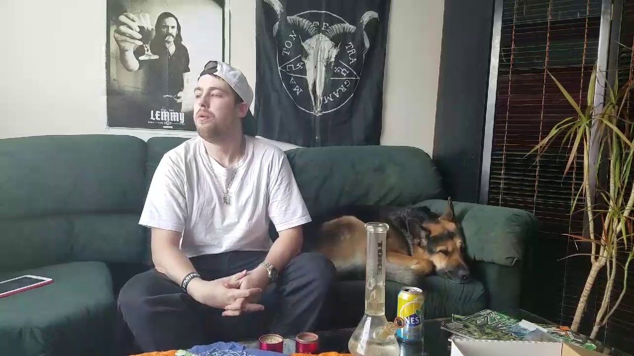 Lindsay OG indica