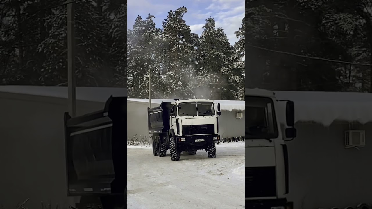 МАЗ 6317 самосвал 6х6 #техника #услуги #спецтехника #maz #6317