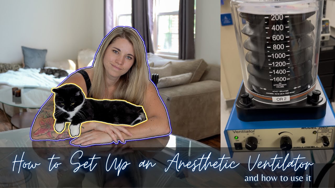 Vet Med: How to Set Up an Anesthetic/Surgical Ventilator (and how to use it)