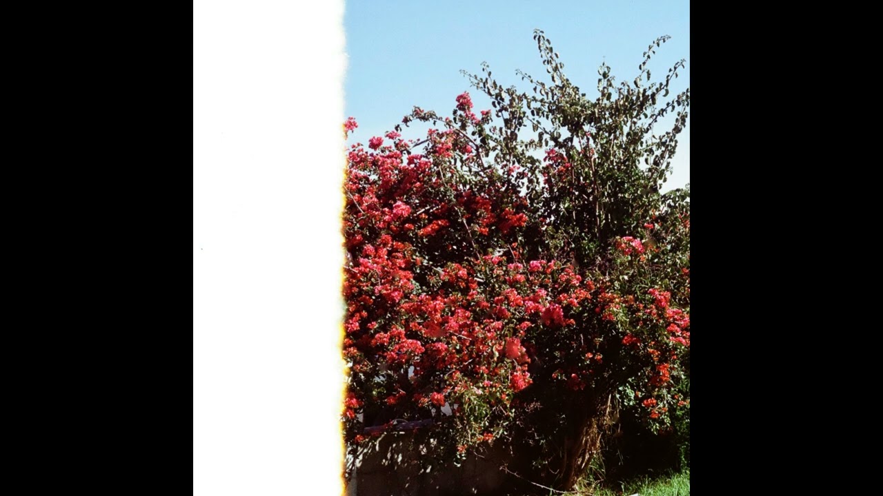 Jardines Interiores - Los A&ntilde;os