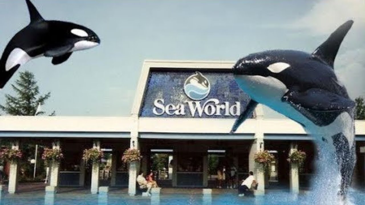 EXPLORING FORMER SEA WORLD CLEVELAND OHIO
