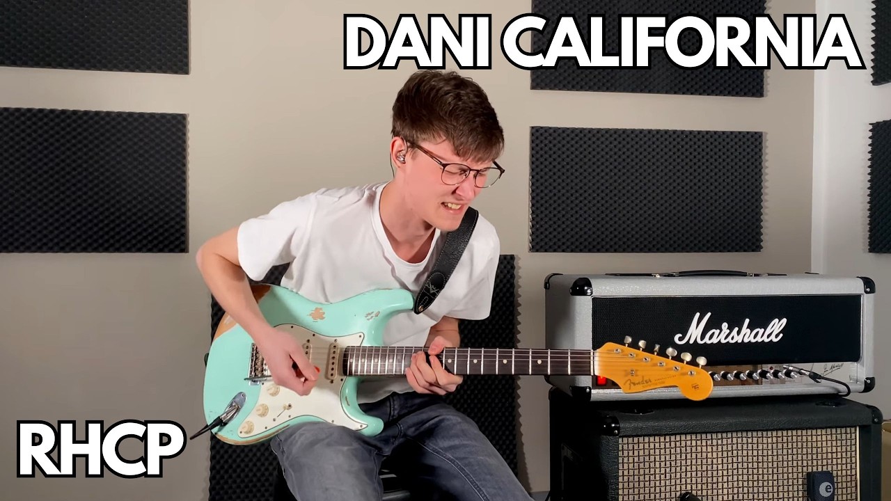 Red Hot Chili Peppers - Dani California Guitar Cover