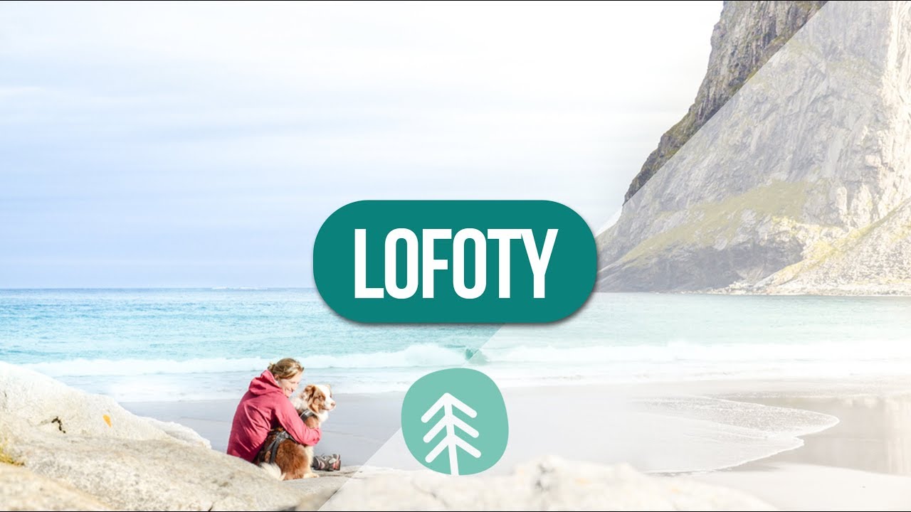 LOFOTY  | Norsko se psem - I. část 🌏 | Lesem se psem