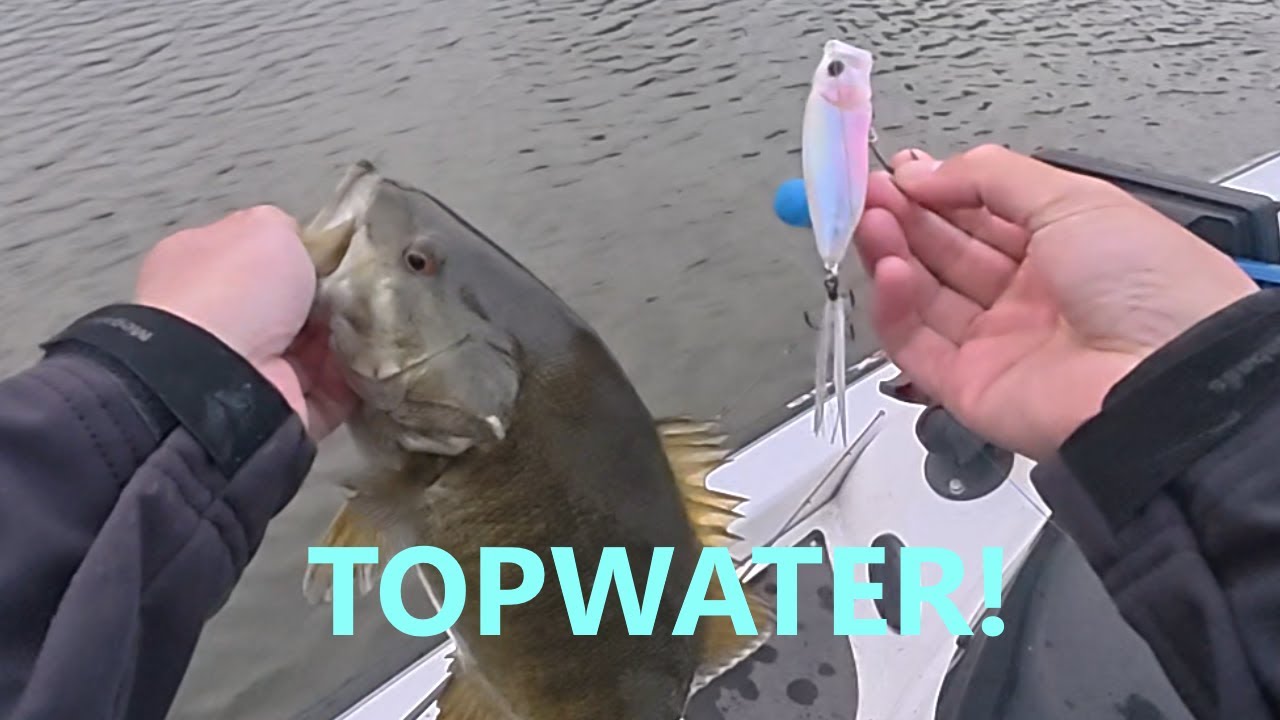 Mille Lacs TOPWATER FUN!