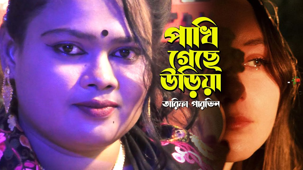 তারিফা পাভিন এর নতুন হিট গান ** পাখি গেছে আমার উড়িয়া ** kalapata media new sad song