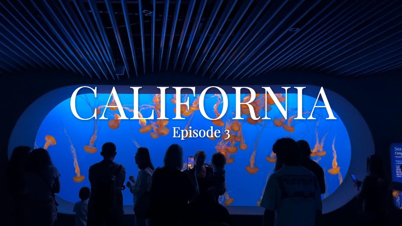 CALIFORNIA | Visiting San Francisco Attractions, Monterey Bay Aquarium, Exploratorium