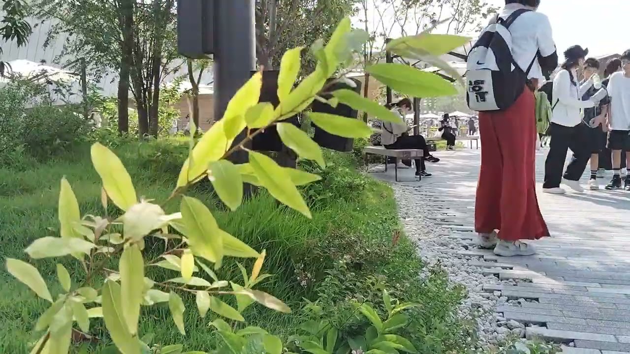 大阪・関西万博　東ゲート会場付近　BGM　2025/8/24