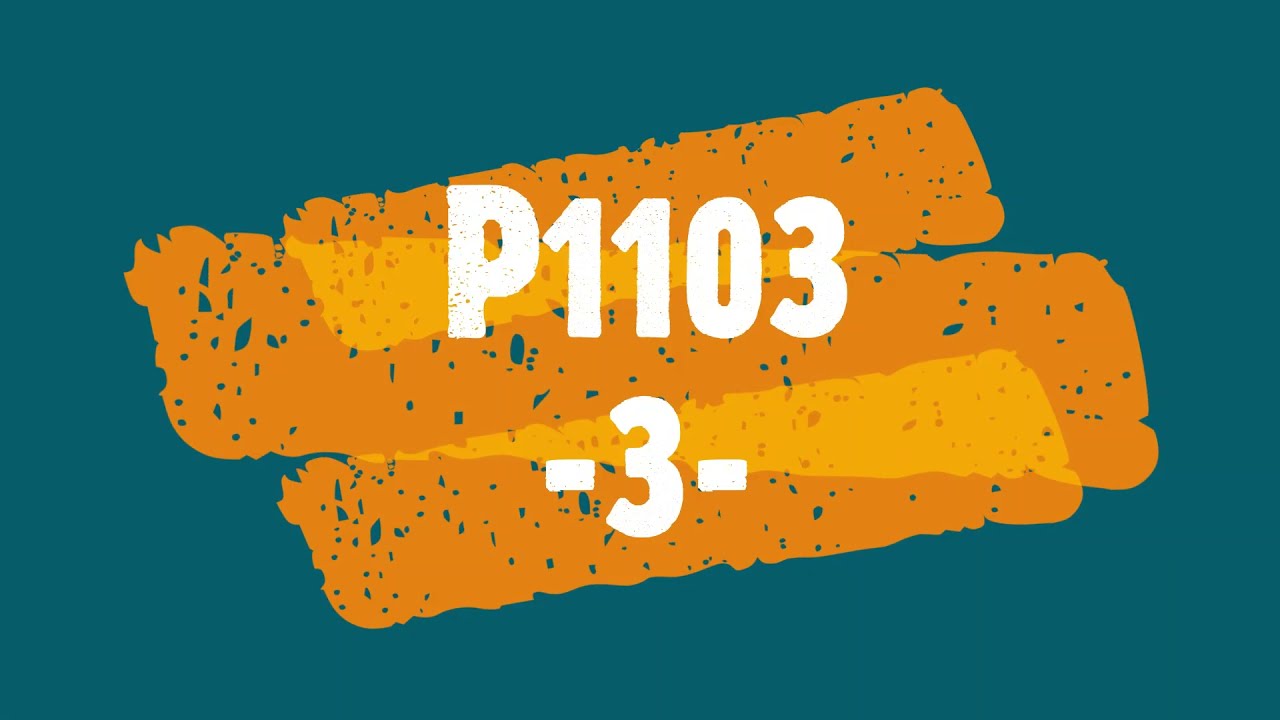 P1100 3
