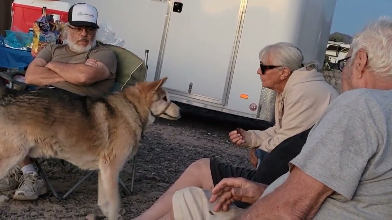 Van life Quartzsite - Creativity in the Compound! Plus, Valentines Day in the Desert 