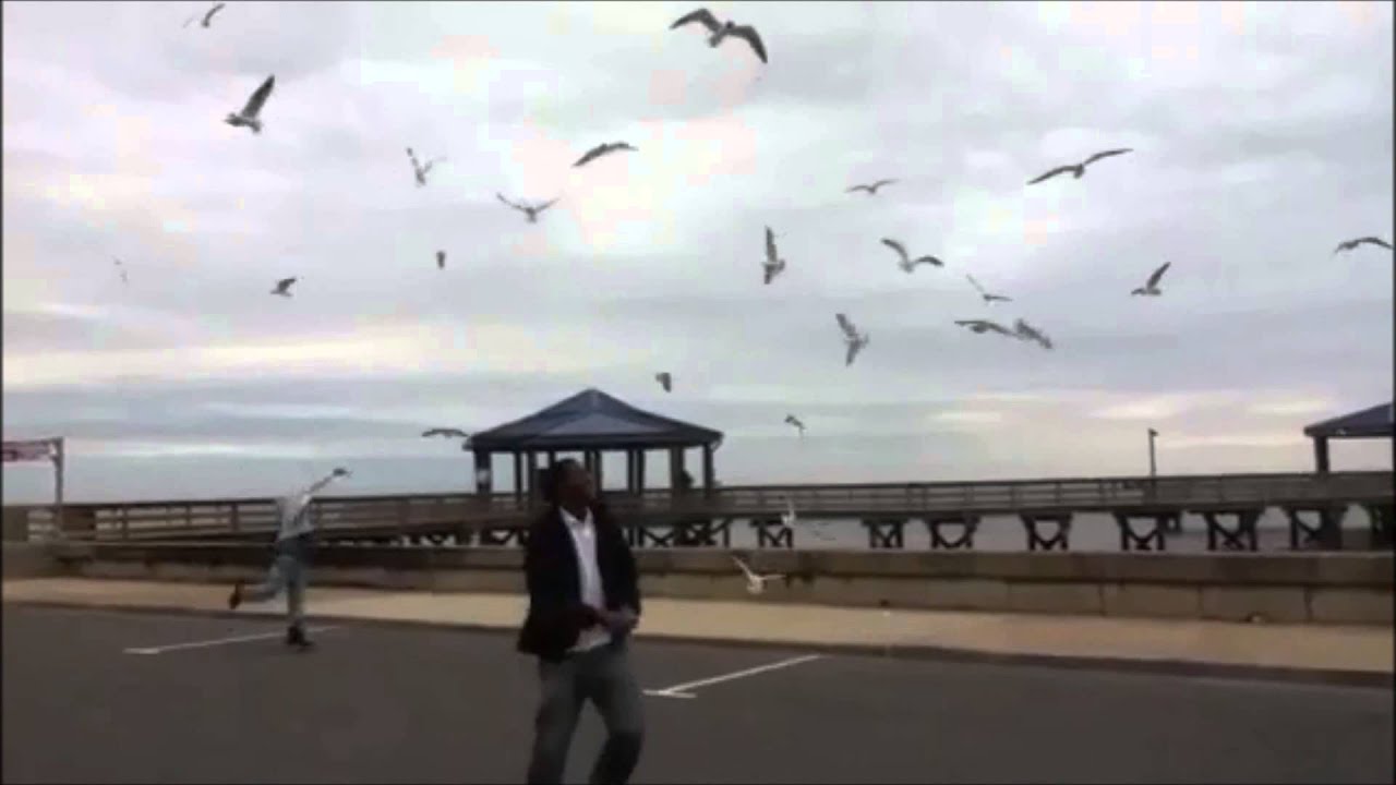 Co Rizzle And Ronnie Baby Feed The Birds