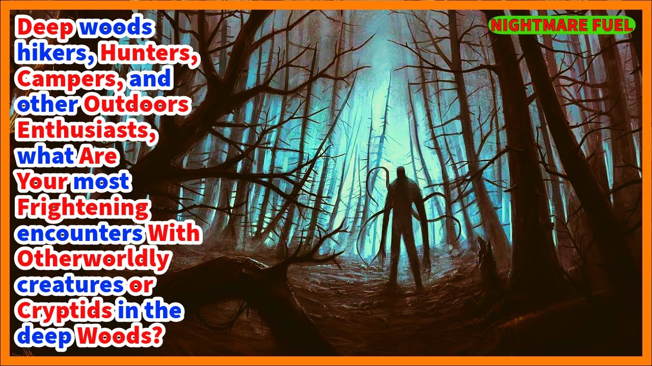 Deep woods hikers, campers. what are your encounters with cryptids and creatures in the woods?