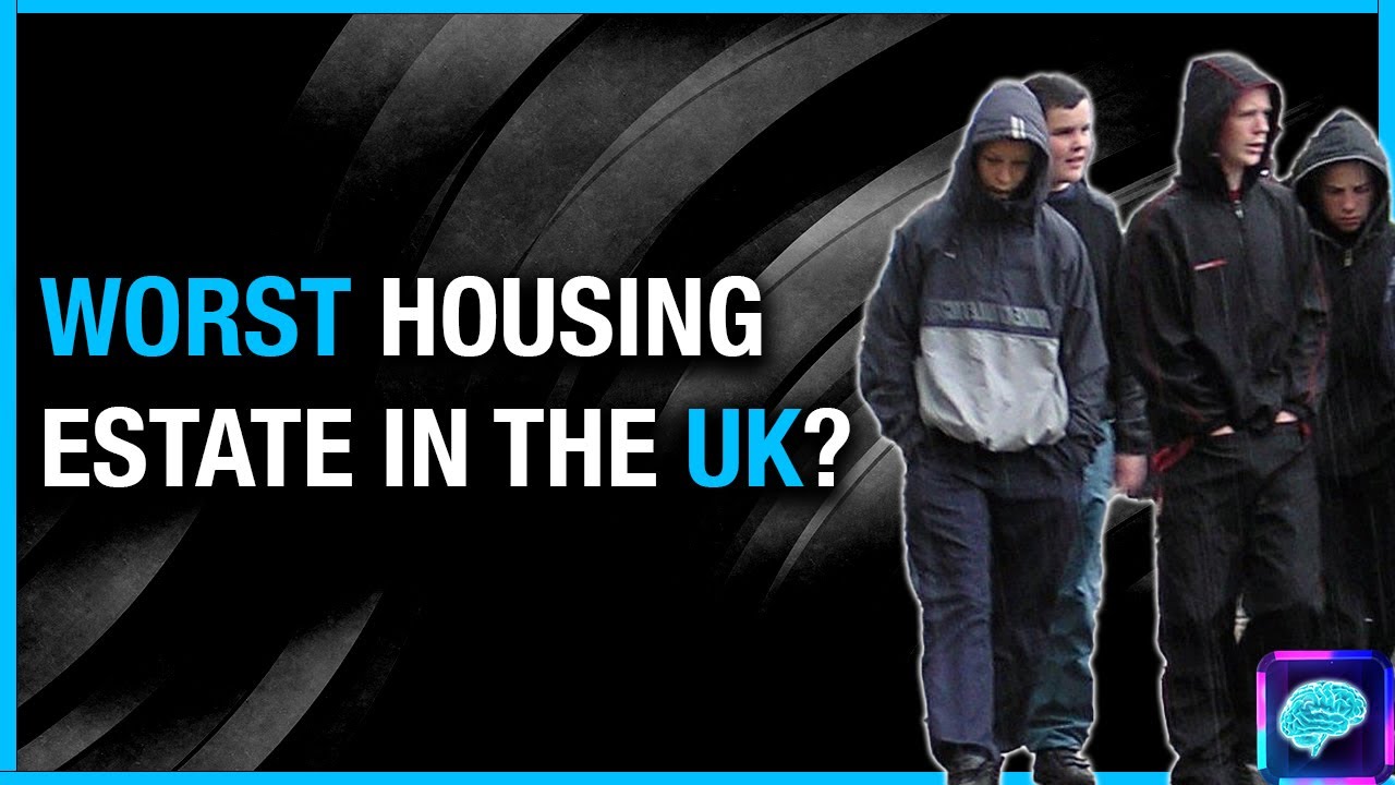 ANTISOCIAL behaviour on ROUGH estate - criminal PSYCHIATRIST explores on GB News