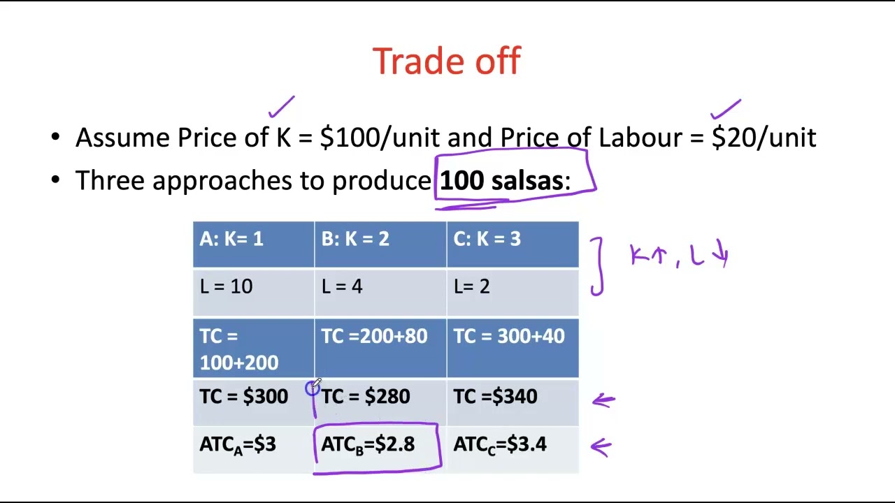 Micro Ch 11 Costs Part 3