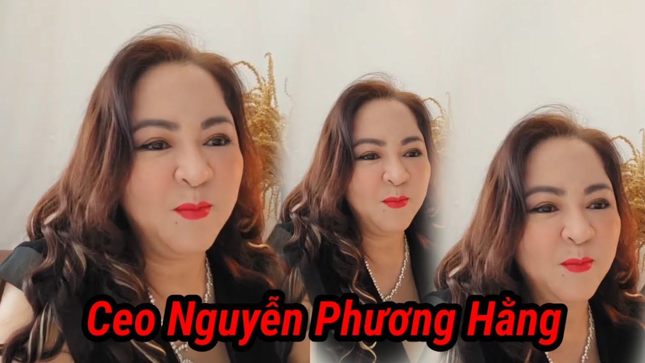 Ceo Nguyễn Phương Hằng.