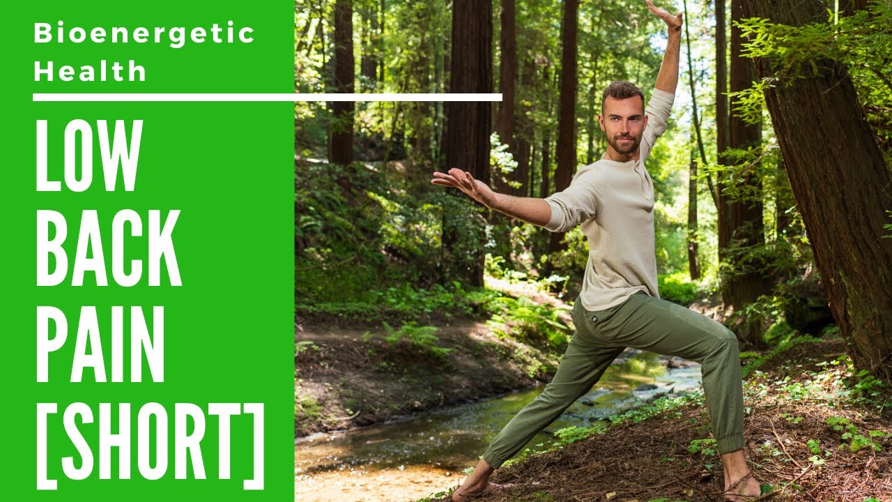 SHORT - Qigong for Low Back Pain - Traditional Chinese Medicine Physical Therapy (Physiotherapy)