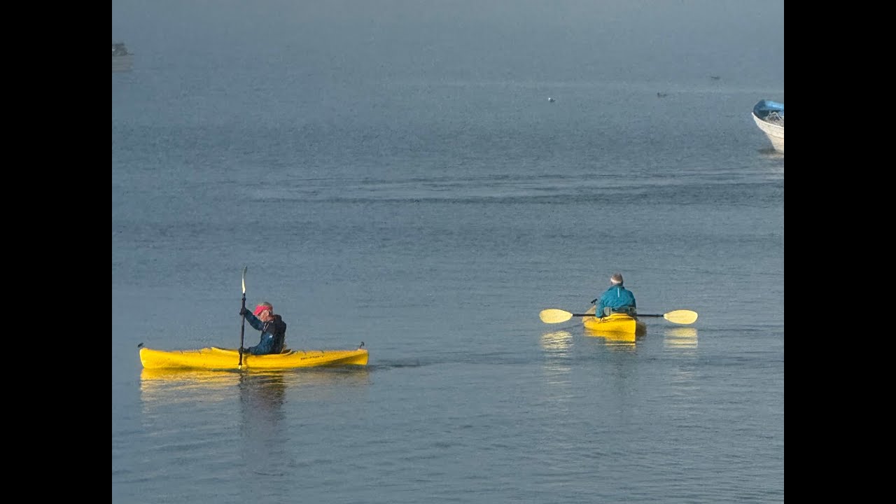 02-02-2026: Op kajak avontuur in Bahia de Kino