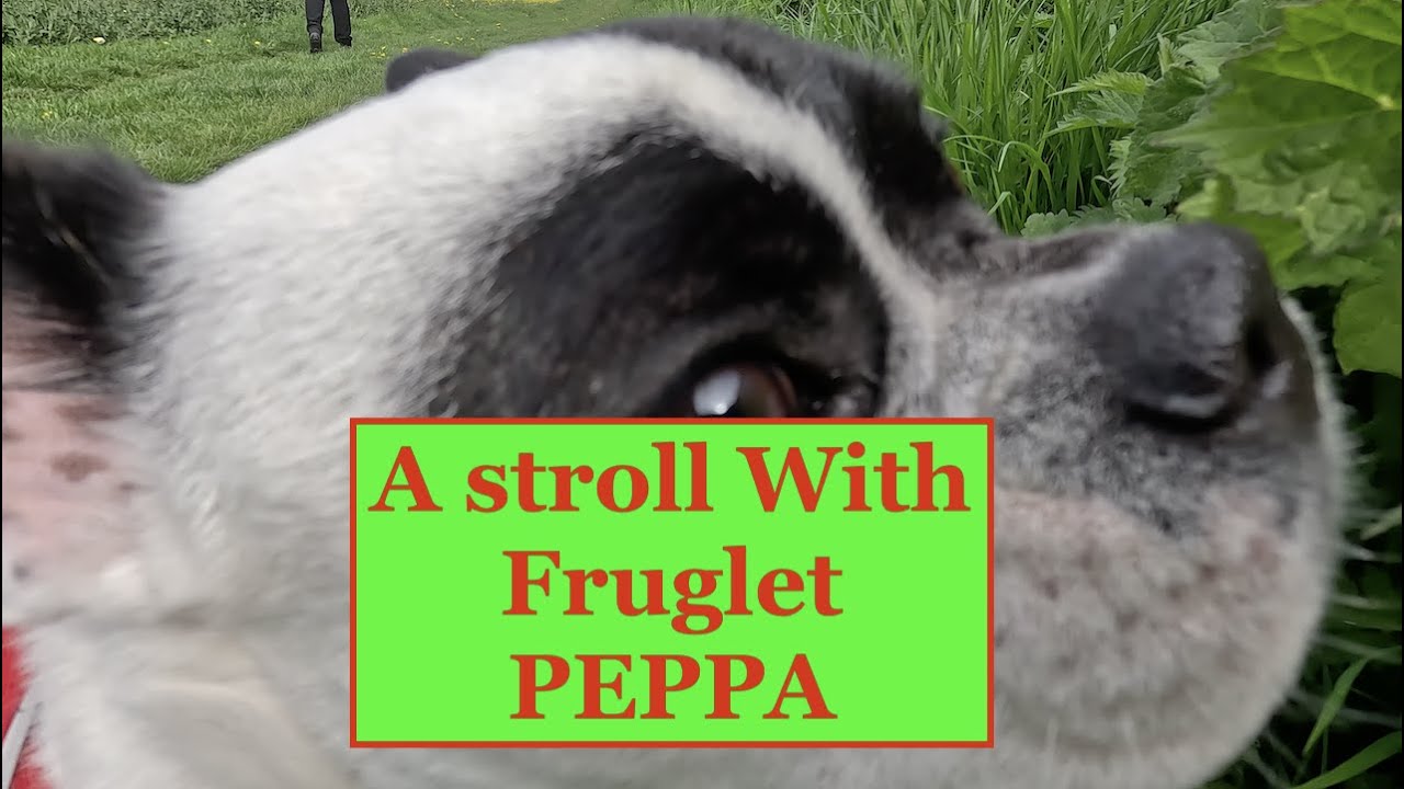 A Stroll with Peppa The Frug