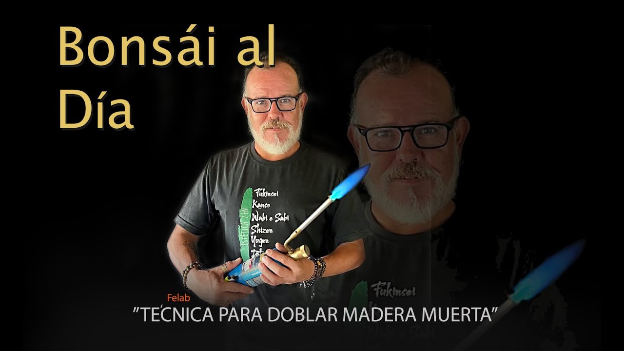 TECNICA PARA DOBLAR MADERA MUERTA en Bonsái al Dia