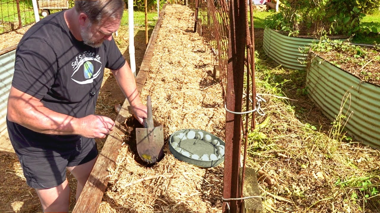 7 Things You Can BURY in the GARDEN to Improve the Soil