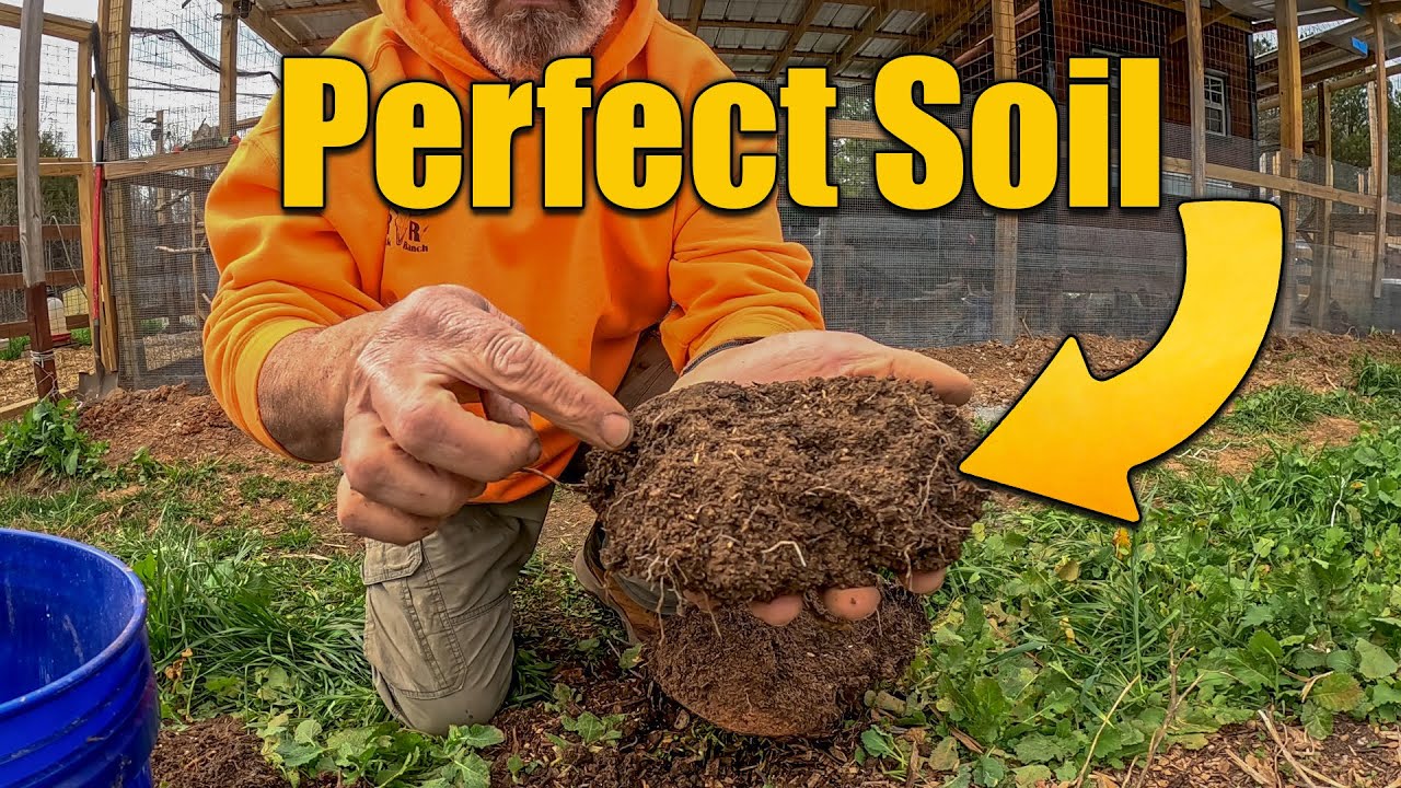 Healthy Soil Biology with Compost and Mycorrhizal Fungi