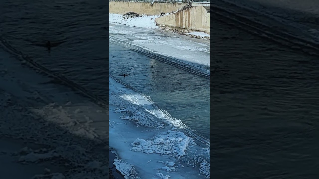 &Ccedil;oruh&rsquo;un Soğuk Sessizliği