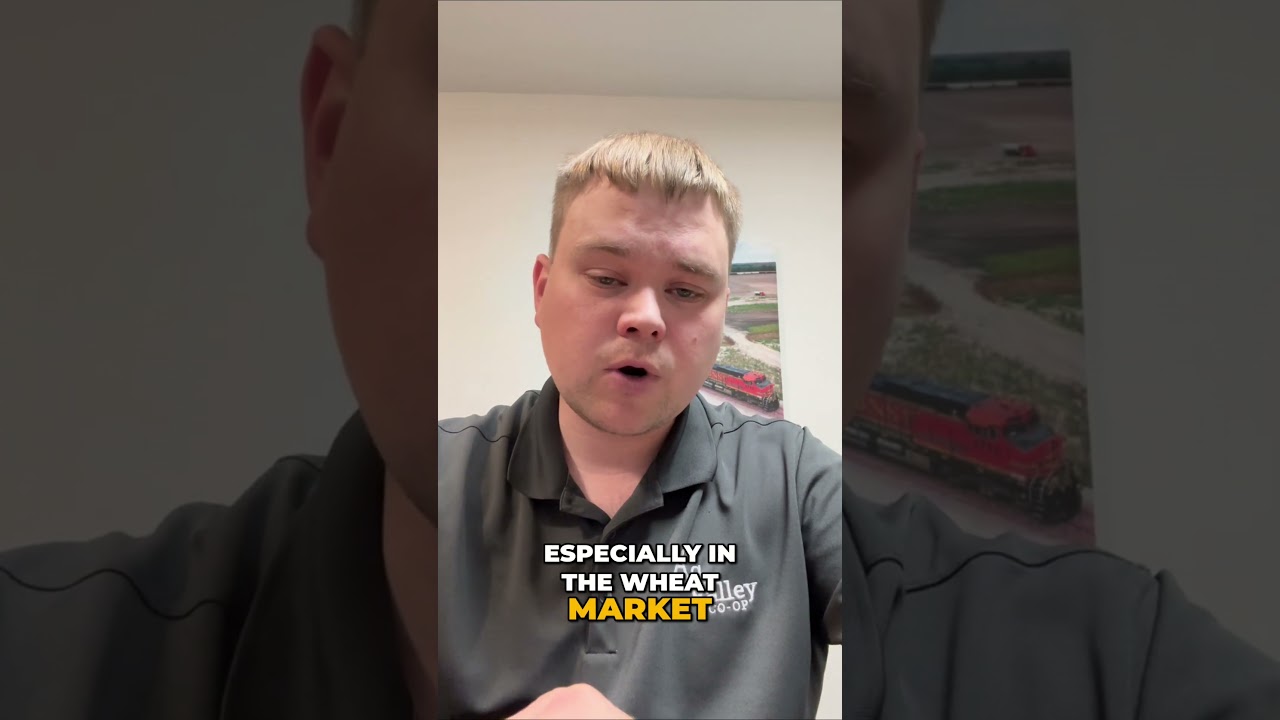 WASDE Report & Wheat Price Changes!