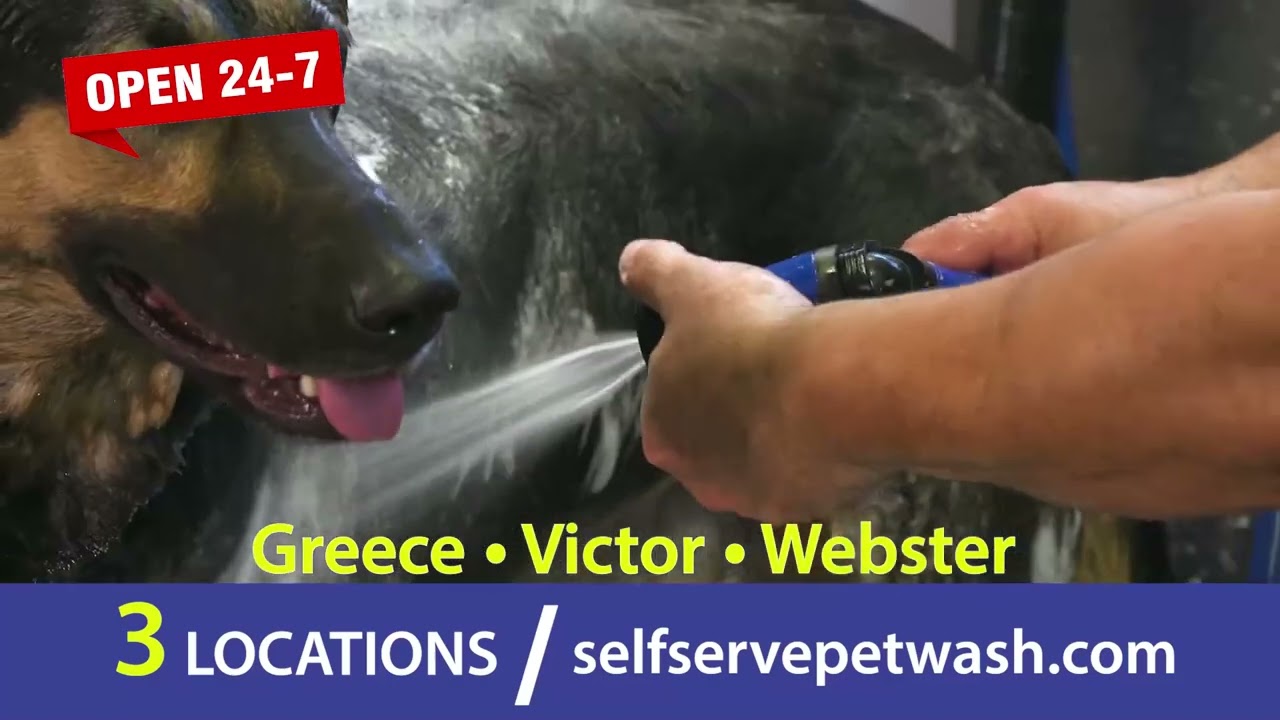 Self Serve Pet Wash Greece, Victor and Webster, NY OPEN 24/7