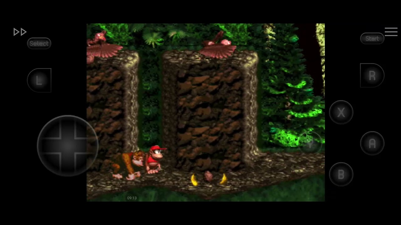 Dkc 1 part 11