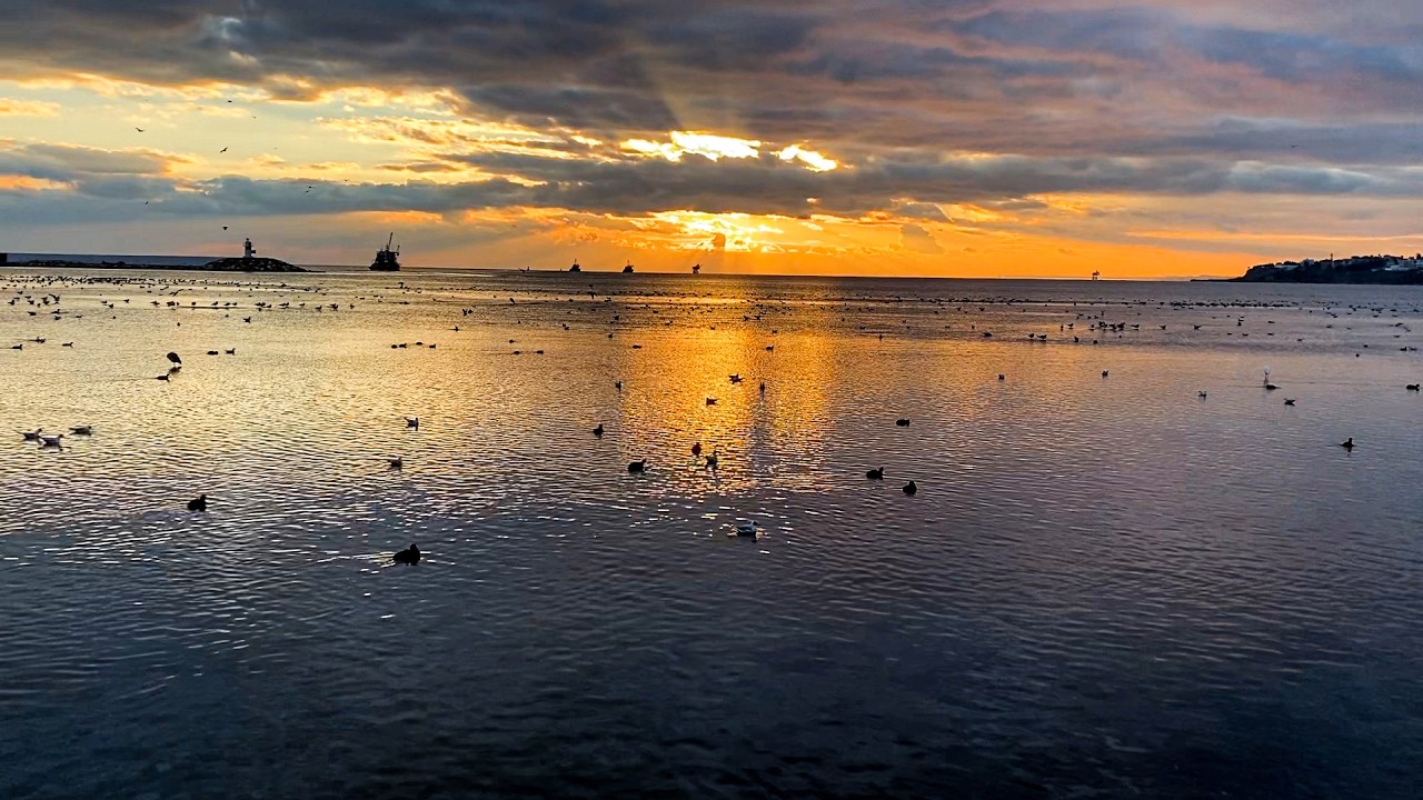 🌅 Golden Hour by the Sea | Relaxing Music & Nature Sounds