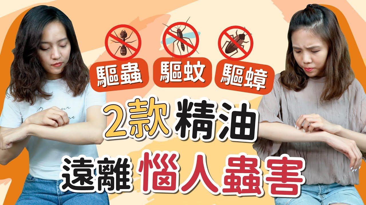 驅蟑滅蟻｜讓各種蚊蟲徹底遠離的兩款精油，既天然又有效!