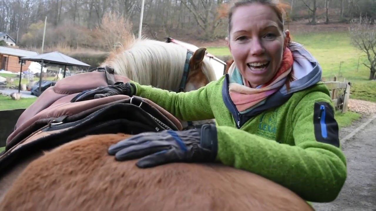 Das Ride-on-Pad von “Barefoot“ - eine gute Alternative? Test mit wildem Haflinger im Gelände.