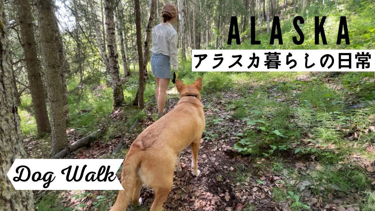 【アラスカ生活】犬は森に放つ｜#44 In the ALASKA Forest Spending Time with Dogs