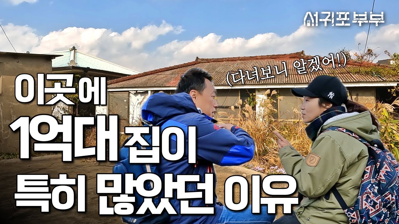 이틀동안 모슬포 바람 맞으며 내린 결론 #채널서귀포부부 #제주도임장여행