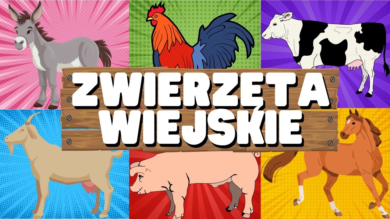 ZWIERZĘTA WIEJSKIE DLA DZIECI . Zwierzęta na wsi dla dzieci. Poznaj odgłosy zwierząt. 🐄🐖🐓