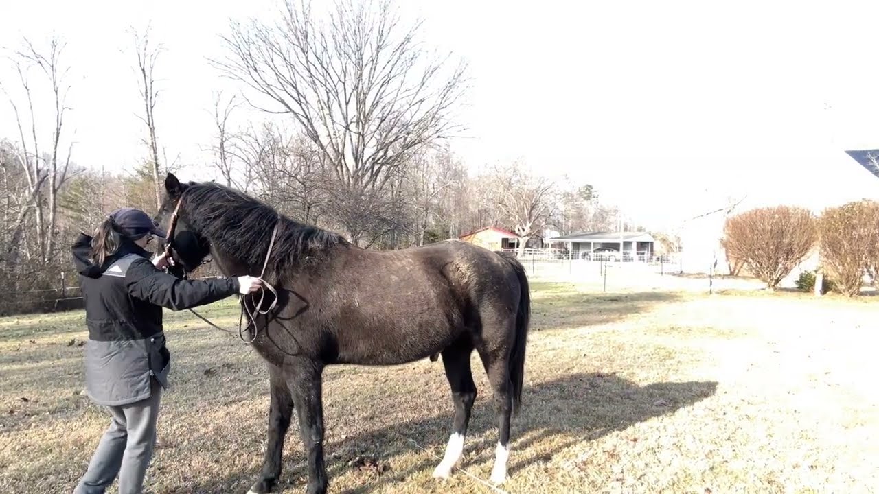 1:26 Santos lunge:flexions:In hand