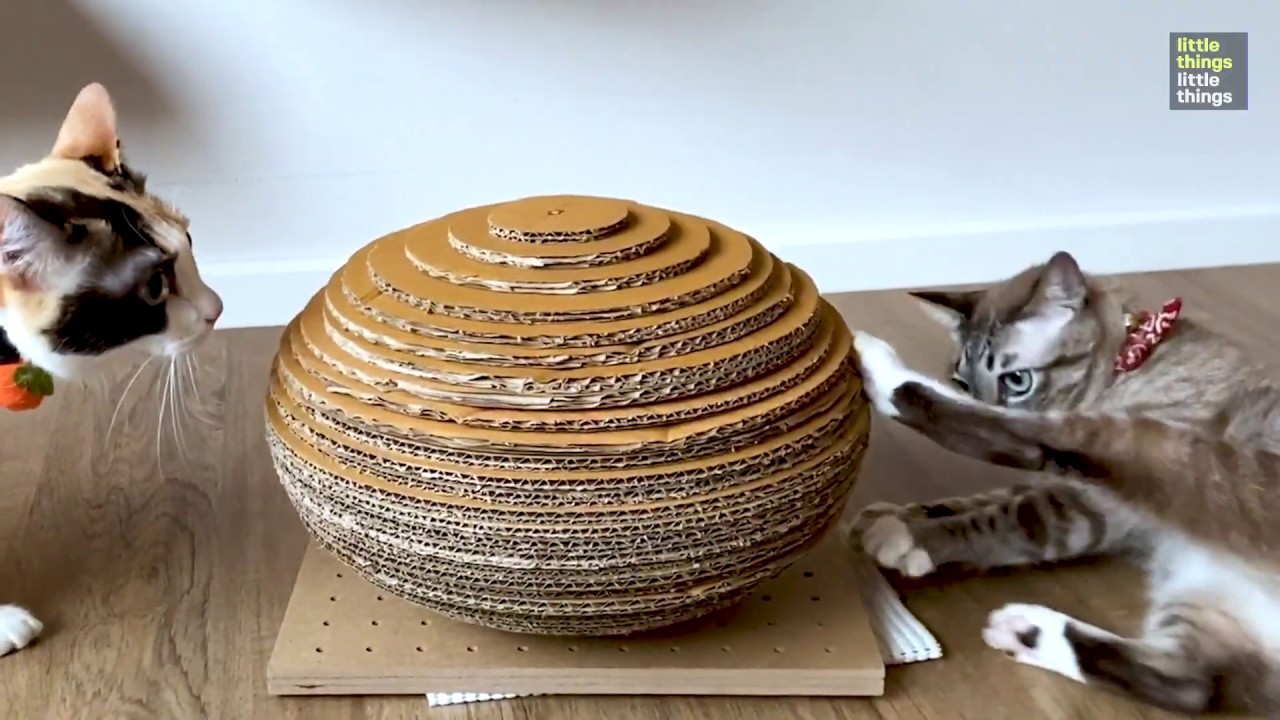 DIY Cat Scratcher