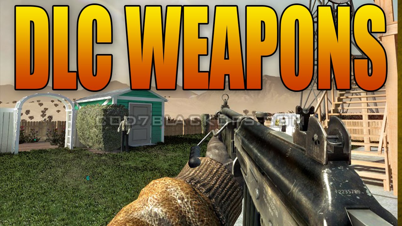 Which DLC Weapons should Treyarch Bring Back Next?!