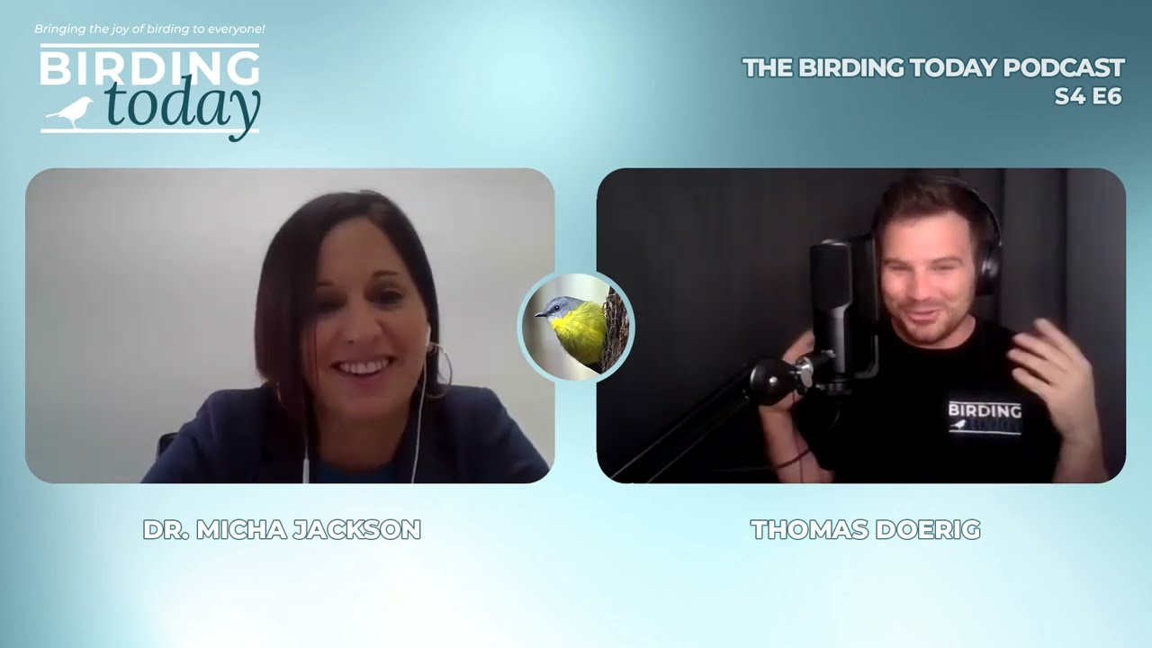 THE BIRDING TODAY PODCAST S4 E6 | Shorebird Conservation & Ecology | DR. MICHA JACKSON