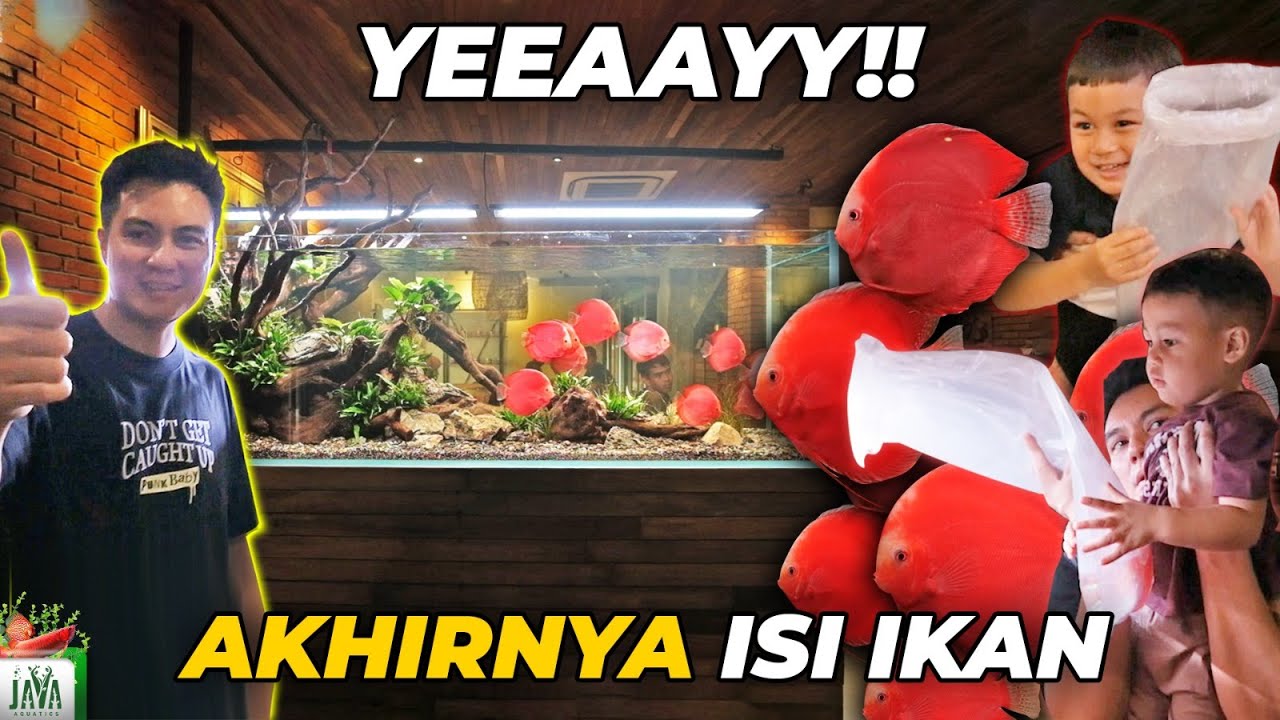 AKHIRNYA RELEASE IKAN DISCUS @TWEntertainmen_t  | KIANO & KENZO SENENG BANGET!!