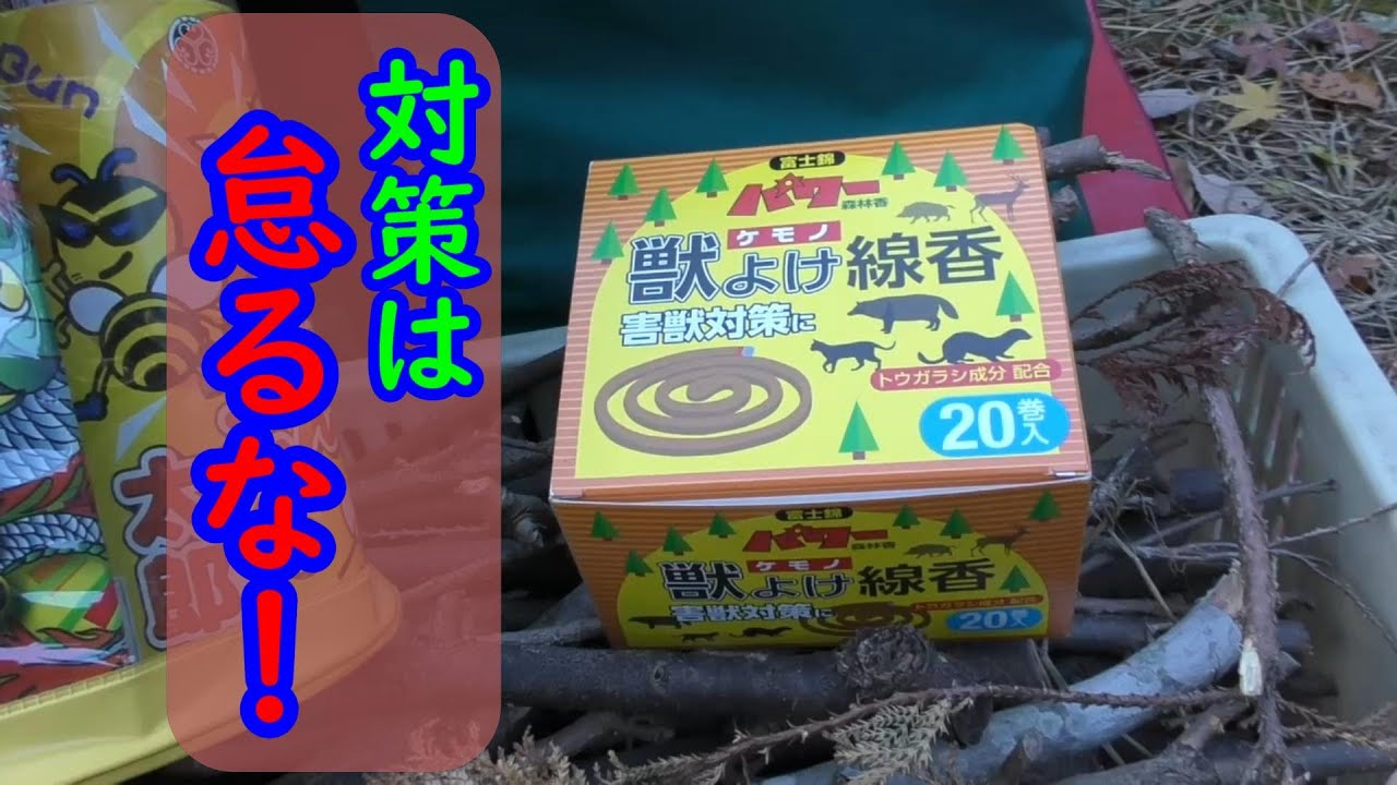 【熊取り線香だったらいいのに】キャンプできる以上、他のキャンプ場候補地はない。ムセるのが好きなＢＢＡ。Ｍｙ焼却場。　観音岩キャンプ場