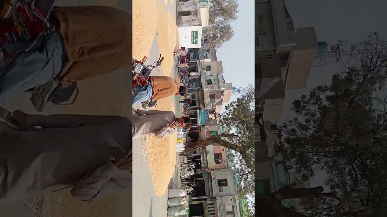 Makki rate 3200 rice hath wala 6200