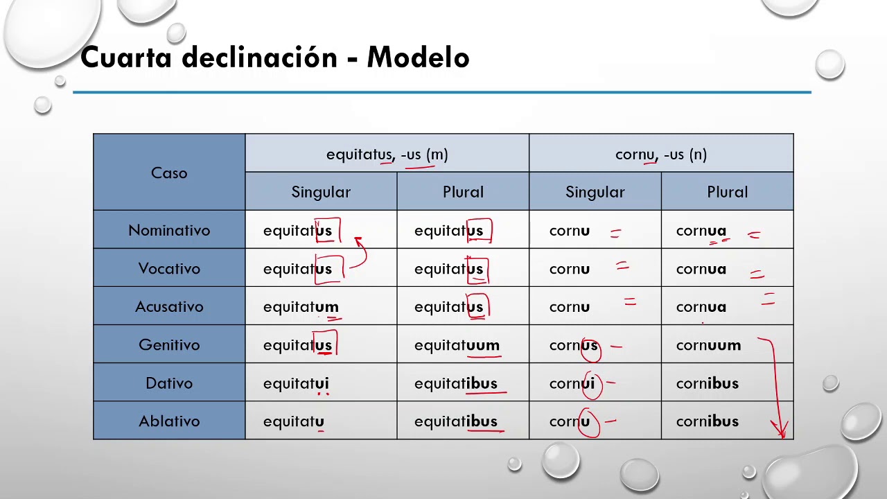 IES N°1 | Latín I | 2020 | Clase N°23 [Cuarta y quinta declinaciones]