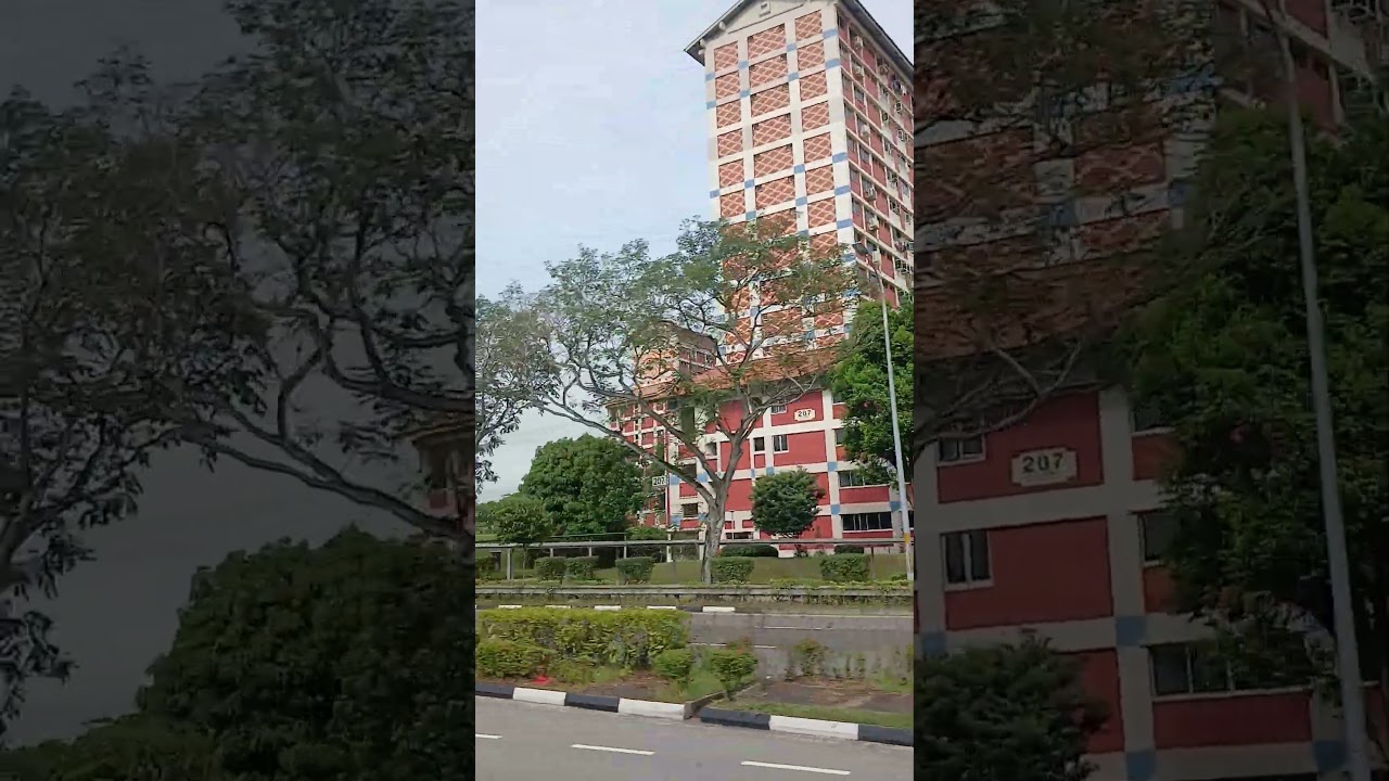 #roadtrips /#shortvideo