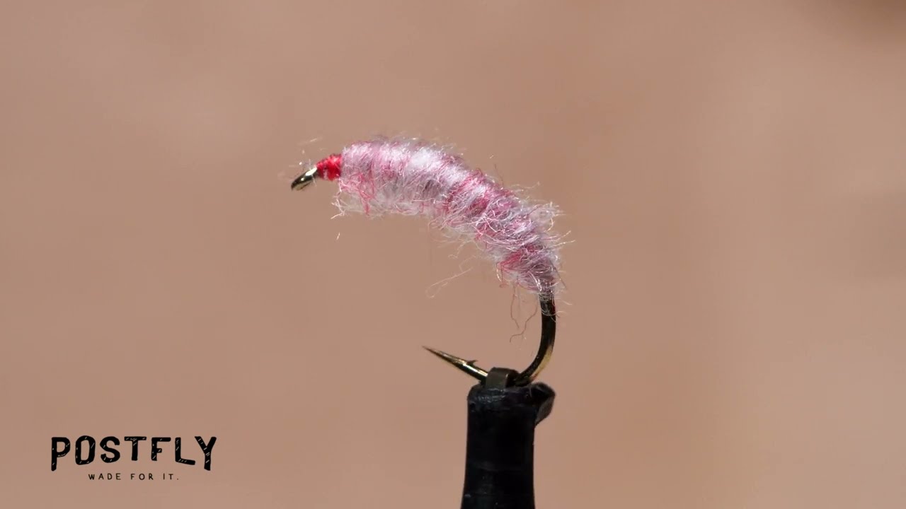 How to Tie: The Utah Killer Bug