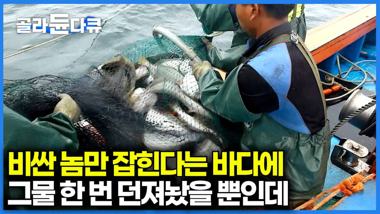 자연산 광어가 무슨 잡어처럼 올라온다｜강과 바다가 만나는 지점에 그물 던졌을 뿐인데 대박｜한국기행｜#골라듄다큐