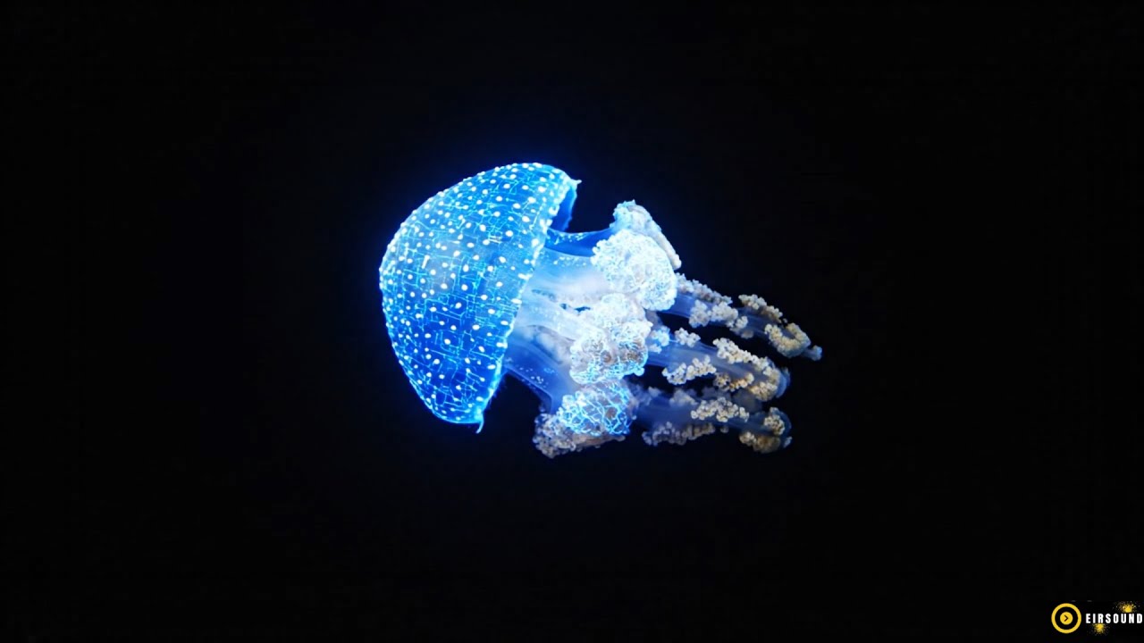 Cute Neon Glow 3D Hologram Animals - Elephant, Dog, Fish, and Dolphin Holographic Display