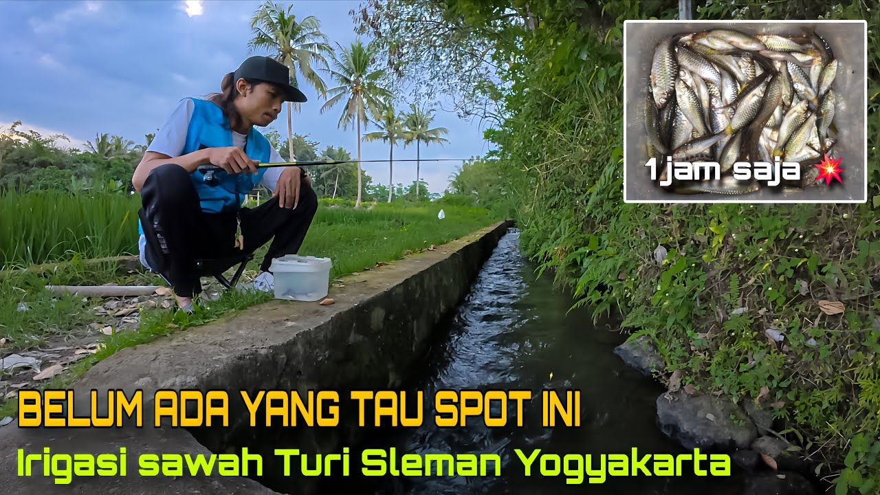 🍃 SPOT WADERAN JOGJA UTARA 💚 DONOKERTO TURI SLEMAN ✅