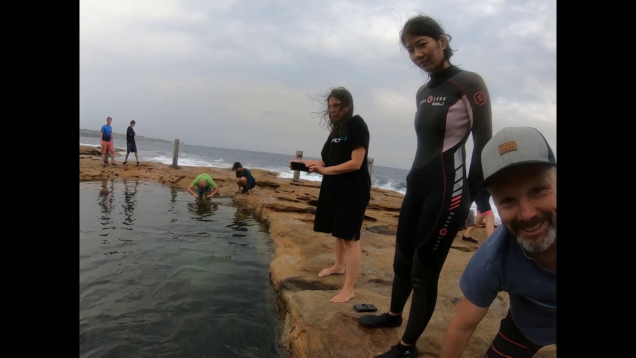 Rock Pool Crawl with Sydney Snorkelling Meetup Group