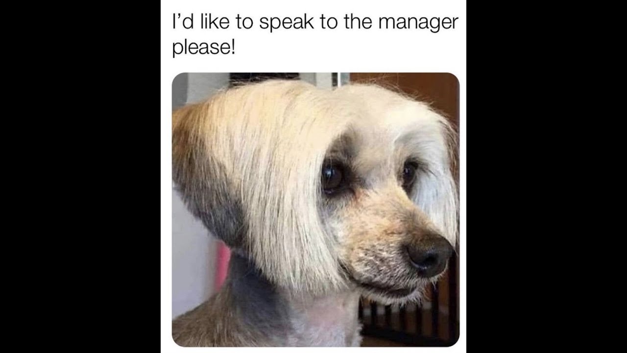Manager -  JC EH